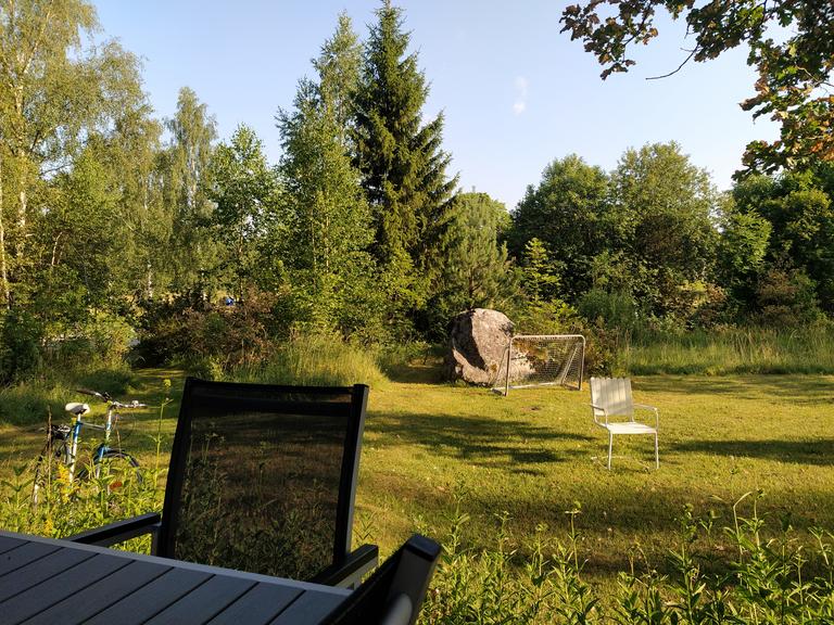 Our garden
