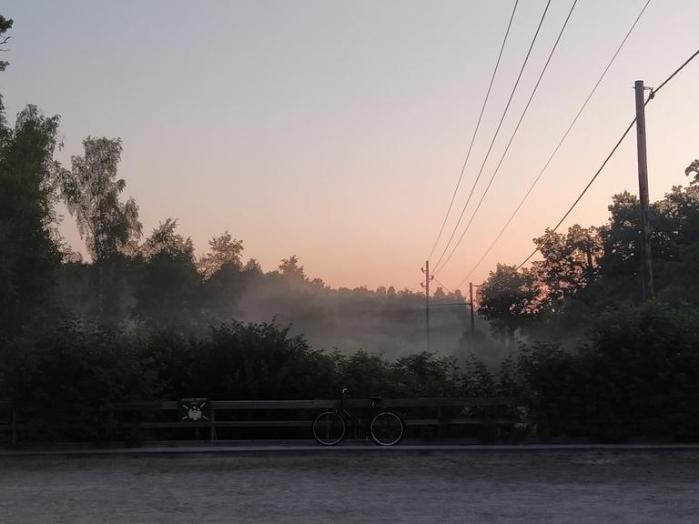 A misty morning, on the way home from a dance