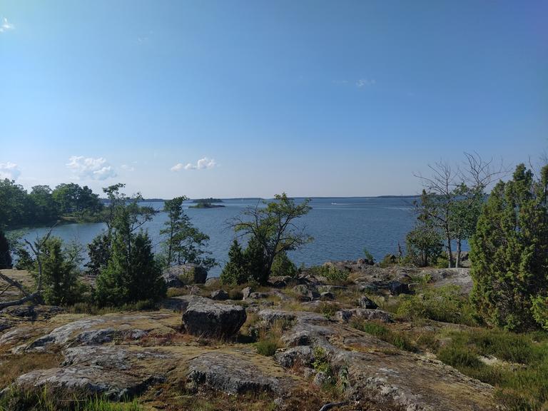 Rocks